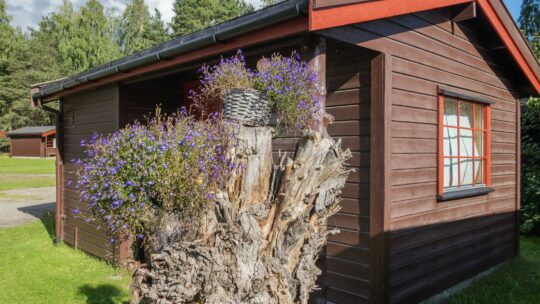 Quels sont les avantages d’un bien situé dans un domaine sécurisé ?